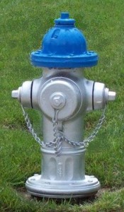 Fire Hydrant with Blue Top